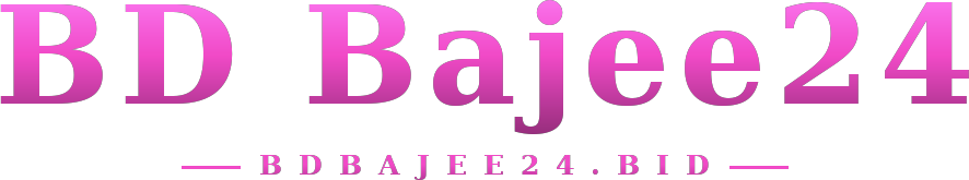 BD Bajee24 logo